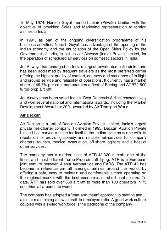 future domestic aviation sector essay